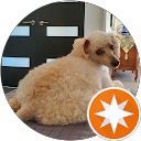 mamatomochu's Google profile photo